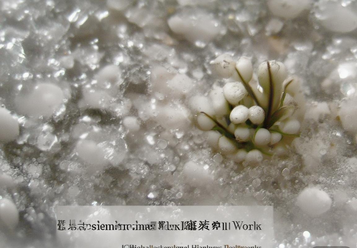 HelloWorld 翻译软件下载 企业微信实时翻译-翻译软件-HelloWorld 翻译软件下载 企业微信聊天翻译