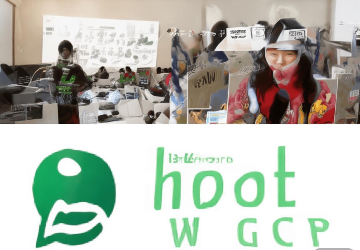 Zoom 实时聊天翻译-Zoom 实时聊天翻译-Zoom 实时聊天翻译